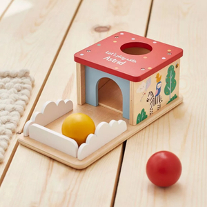 Montessori Baby Toys Wooden Object Permanence Box
